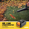TECCPO 40V Cordless Brushless Leaf Blower, 420 CFM/110 MPH, Samsung 2.5Ah Battery and Charger Included, Fast Installation, 5-Speed Axial Blower, for Lawn Care and Snow Blowing -TDLB4025A